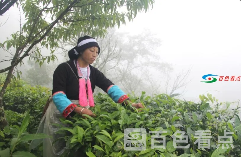QQ截图20201219012745.webp