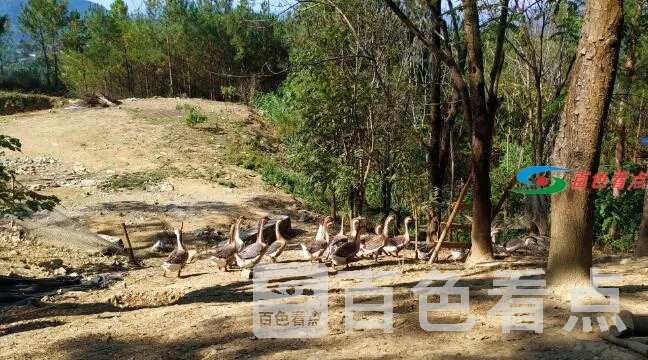 QQ截图20201228190427.webp