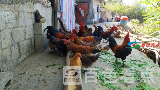 QQ截图20201228190434.webp