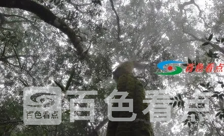 QQ截图20210102233705.webp