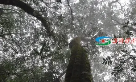 QQ截图20210102233705.webp