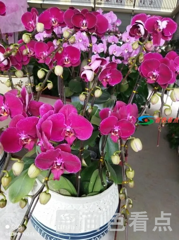 QQ截图20210103224145.webp