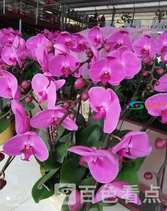 QQ截图20210103224103.webp