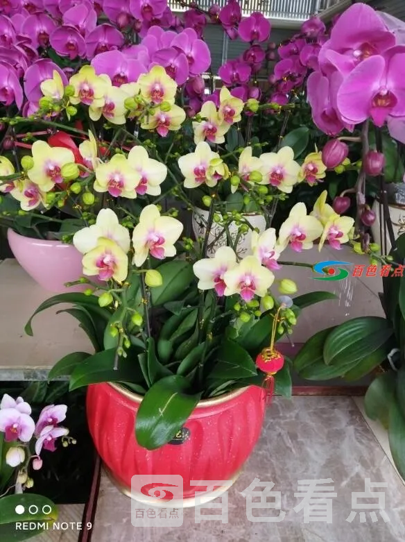 QQ截图20210103224109.webp