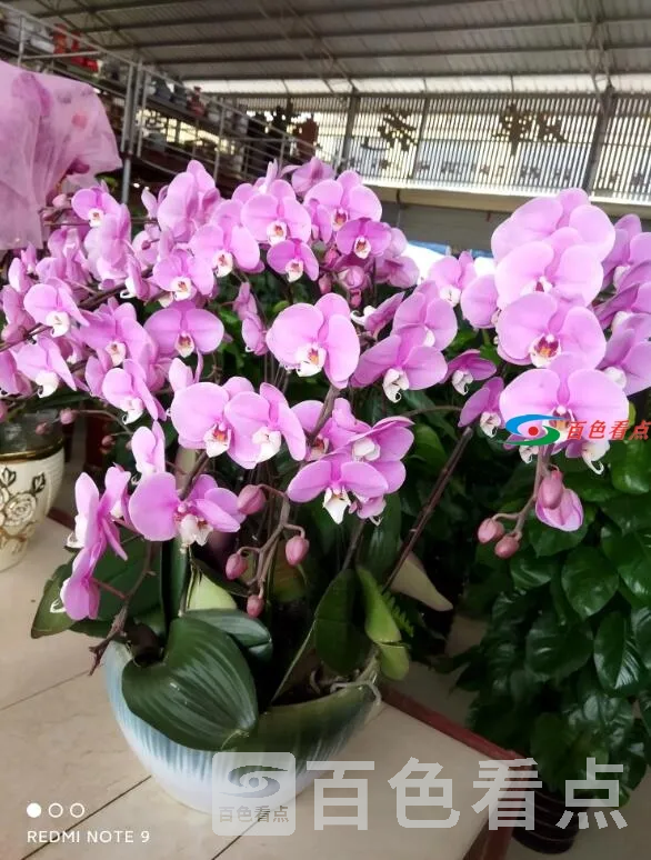QQ截图20210103224119.webp