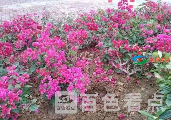 QQ截图20210113164244.webp