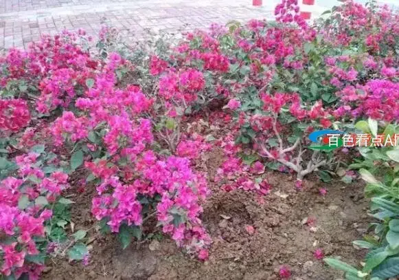 QQ截图20210113164244.webp