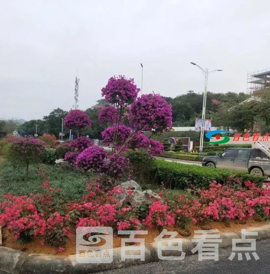 QQ截图20210113164237.webp