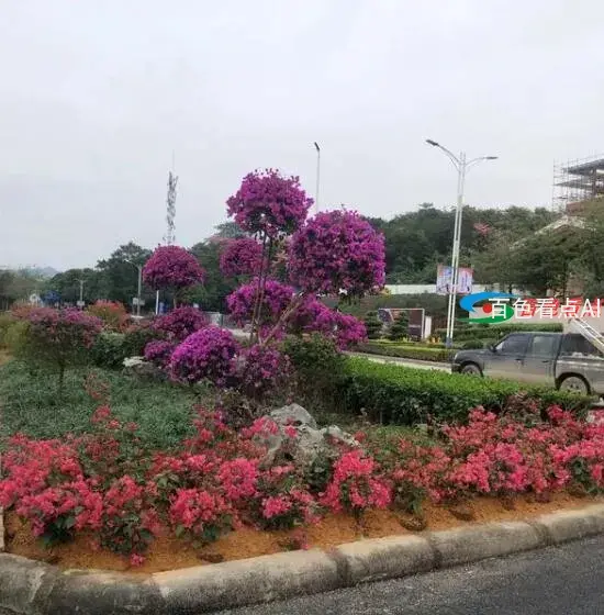 QQ截图20210113164237.webp