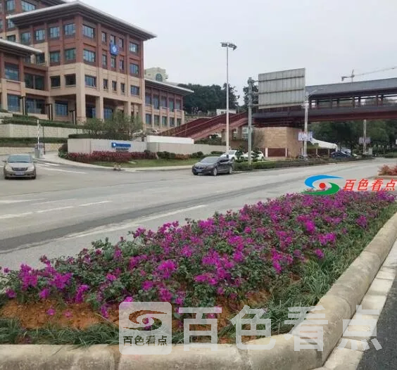 QQ截图20210113164229.webp