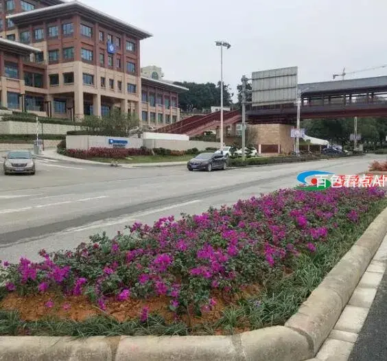 QQ截图20210113164229.webp