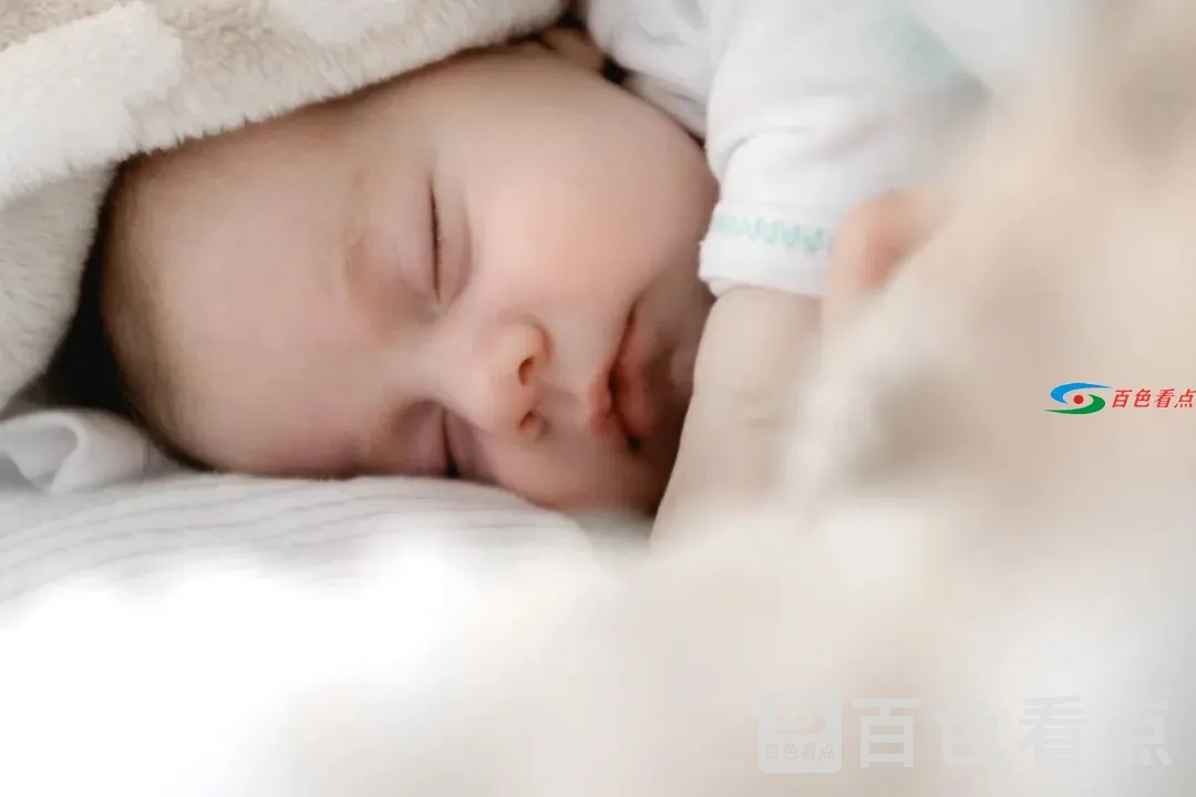 364cb2e3820d465cb3d213587862bf69.webp