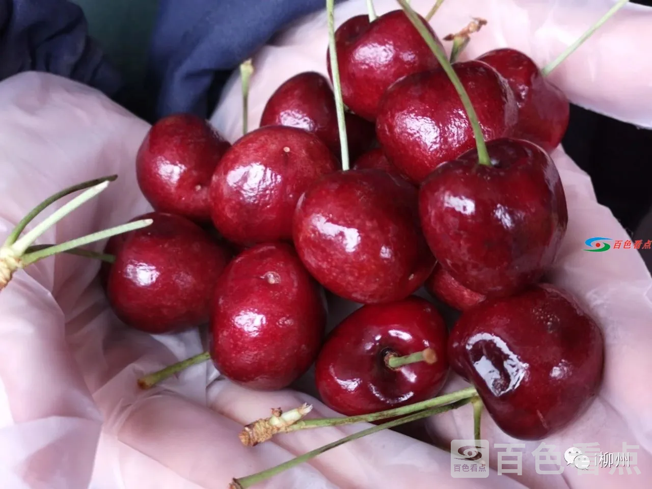 微信图片_20210202173410.webp