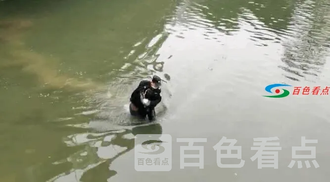 QQ截图20210218211024.webp