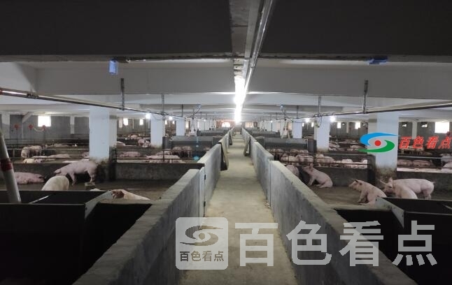 QQ截图20210227201117.jpg