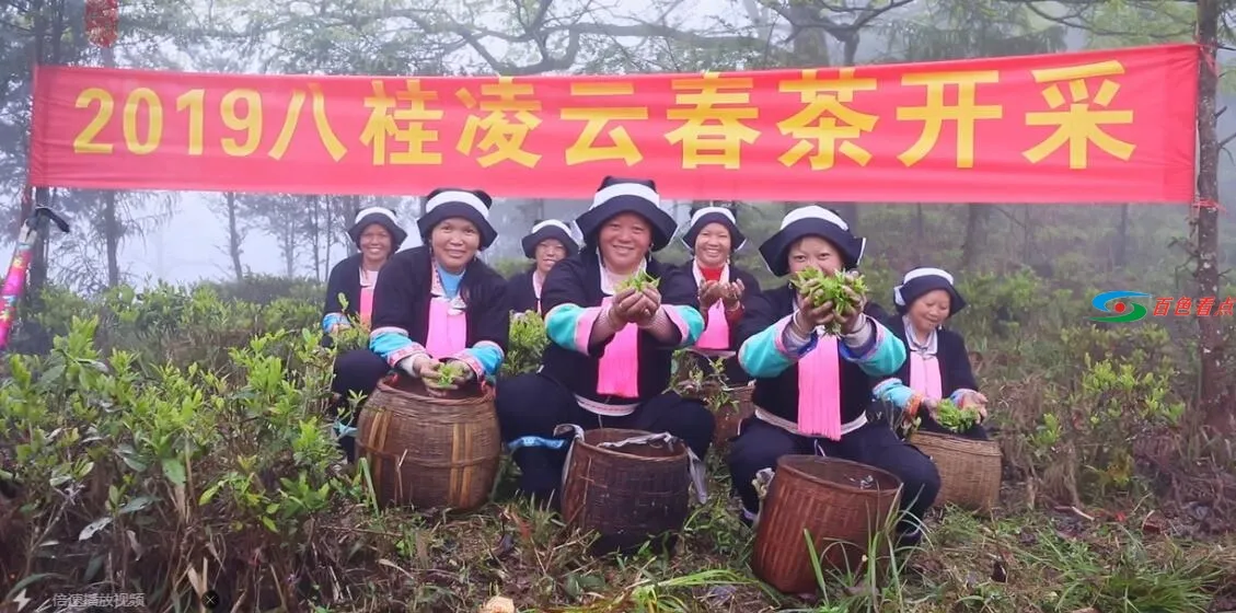 QQ截图20210305010306.webp