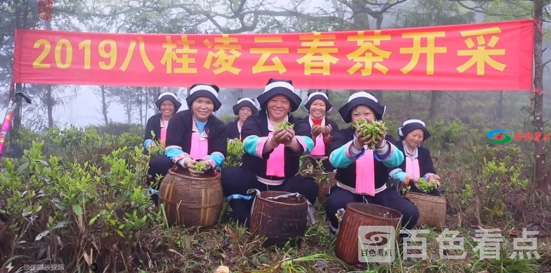 QQ截图20210305010306.webp