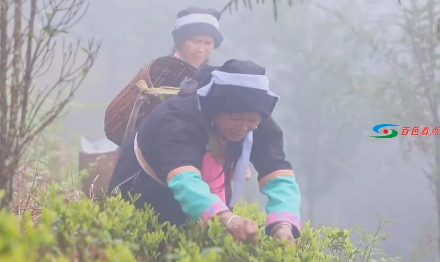 QQ截图20210305010233.webp