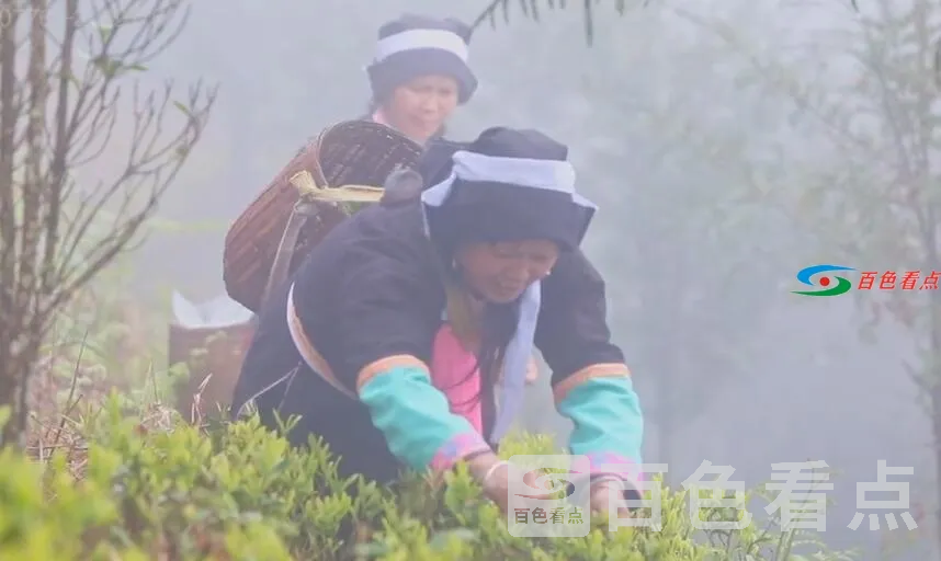 QQ截图20210305010233.webp