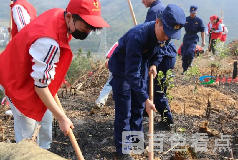 QQ截图20210310044432.webp