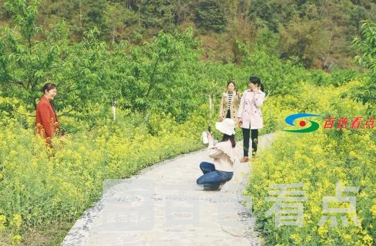 QQ截图20210310084154.webp
