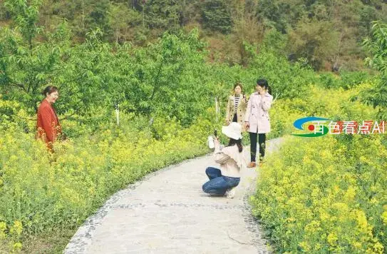 QQ截图20210310084154.webp