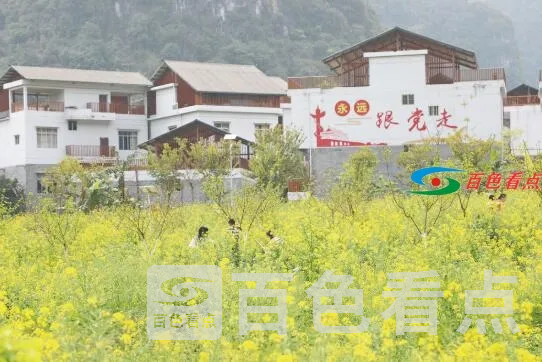 QQ截图20210310084147.webp