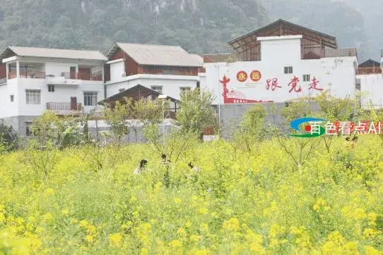 QQ截图20210310084147.webp