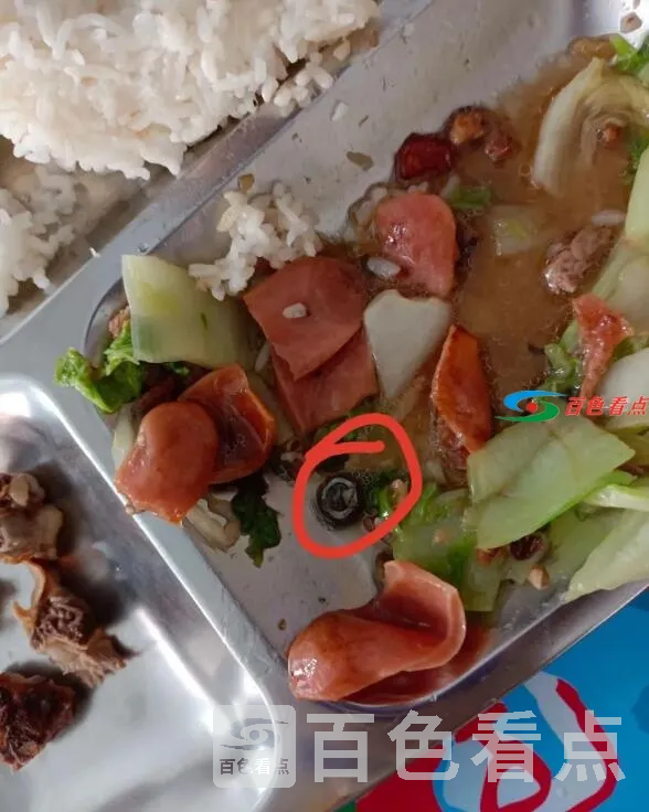 QQ截图20210311002039.webp