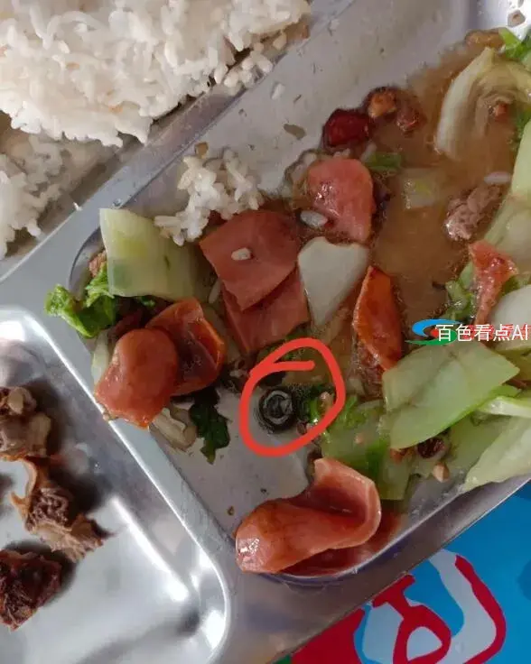 QQ截图20210311002039.webp