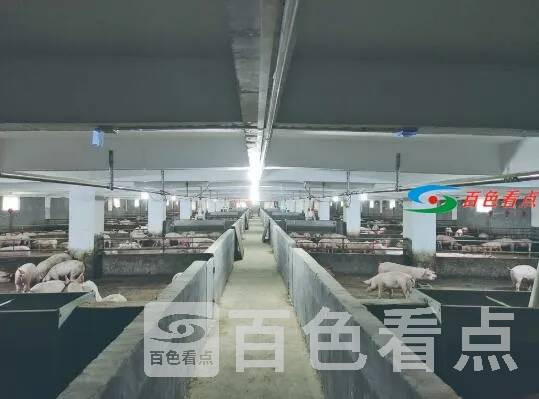 QQ截图20210316090954.webp