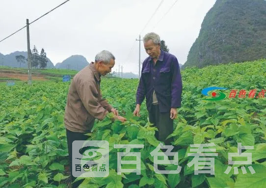 QQ截图20210319100443.webp