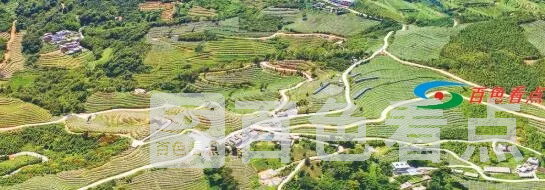 QQ截图20210322084054.webp