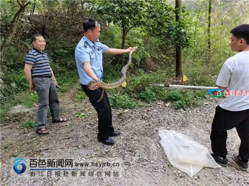微信图片_20210324083408.webp
