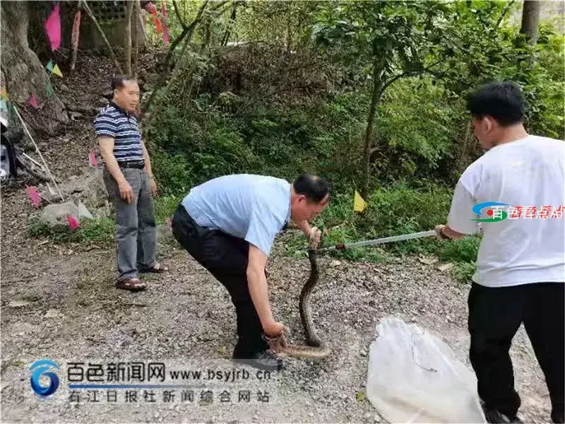 微信图片_20210324083402.webp