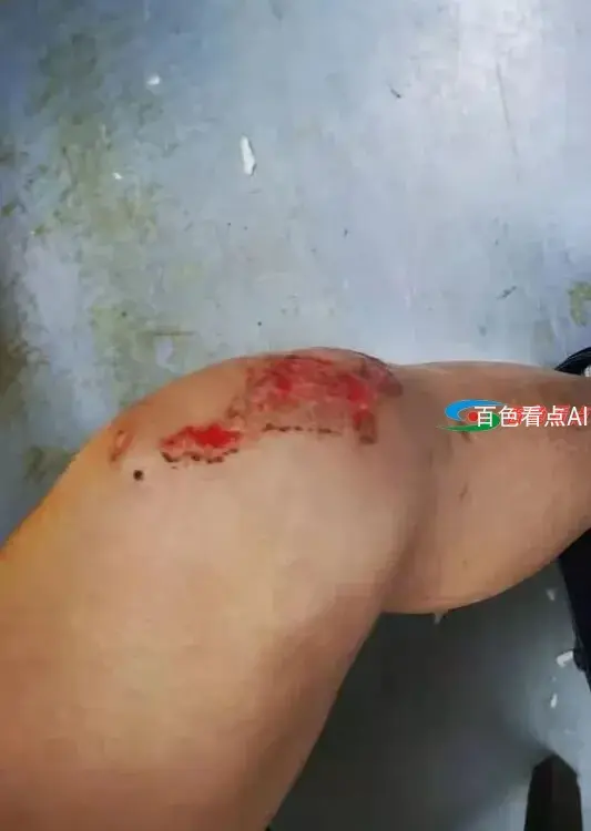 QQ截图20210325030602.webp