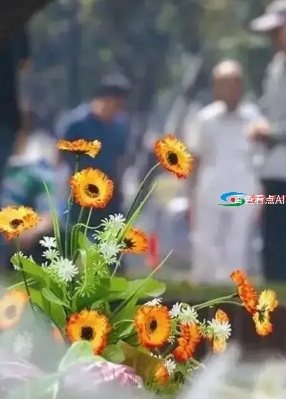 QQ截图20210328111929.webp