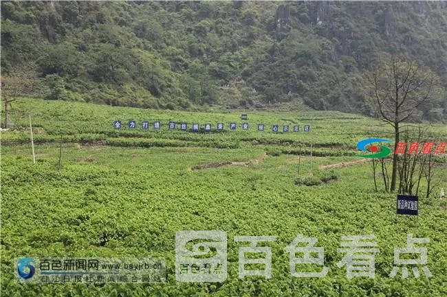 微信图片_20210406100742.webp