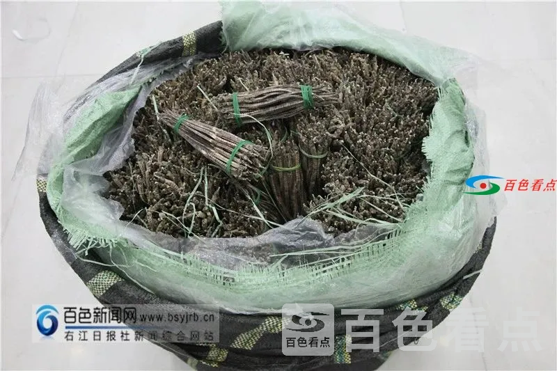 微信图片_20210407090810.webp