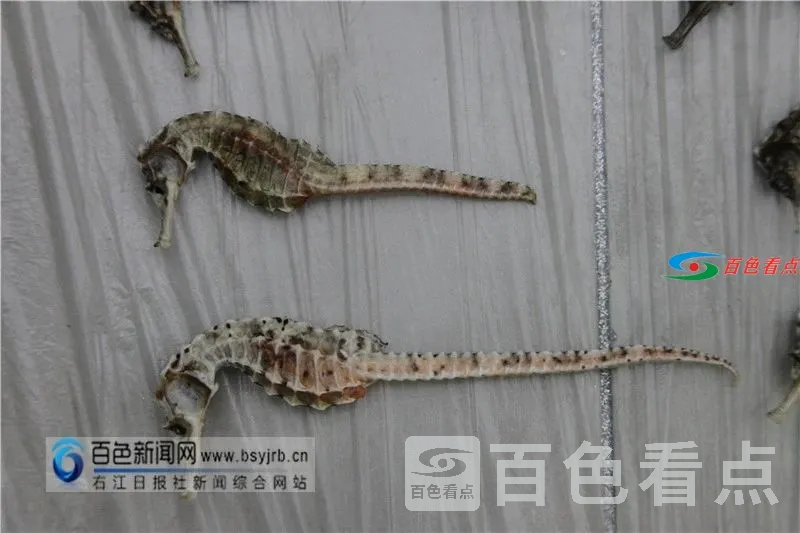 微信图片_20210407090822.webp