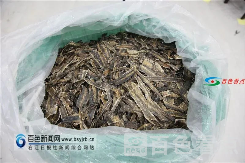 微信图片_20210407090815.webp