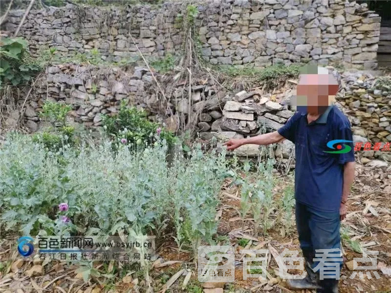 微信图片_20210409162720.webp