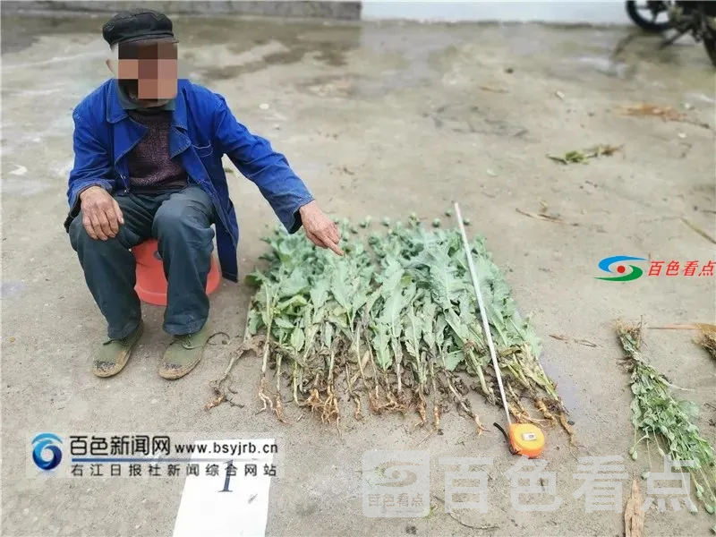 微信图片_20210409162723.webp