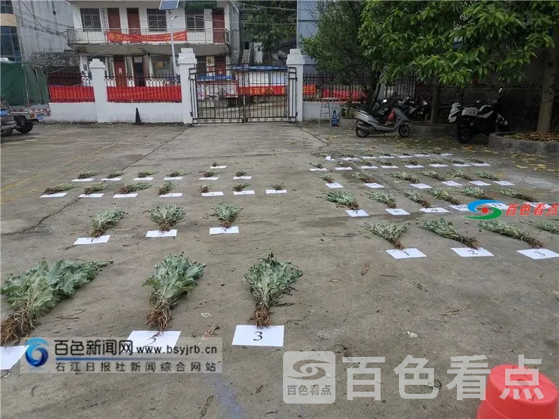 微信图片_20210409162725.webp