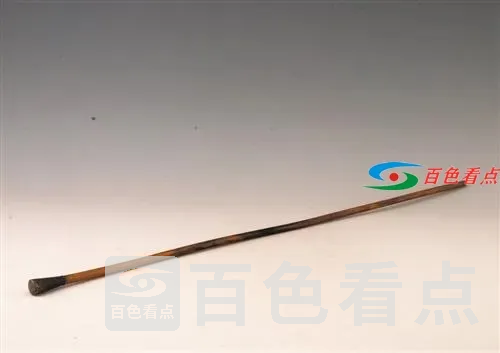 下载 (11).webp