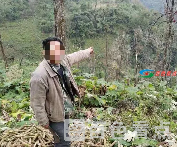 QQ截图20210422031844.webp