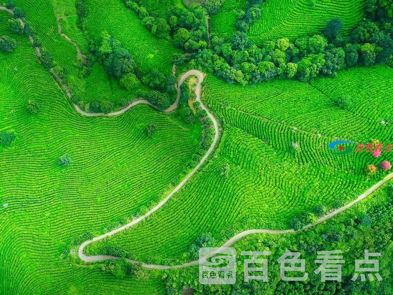 69e4b41012b5aee9d2c9a4be90f9e808.webp