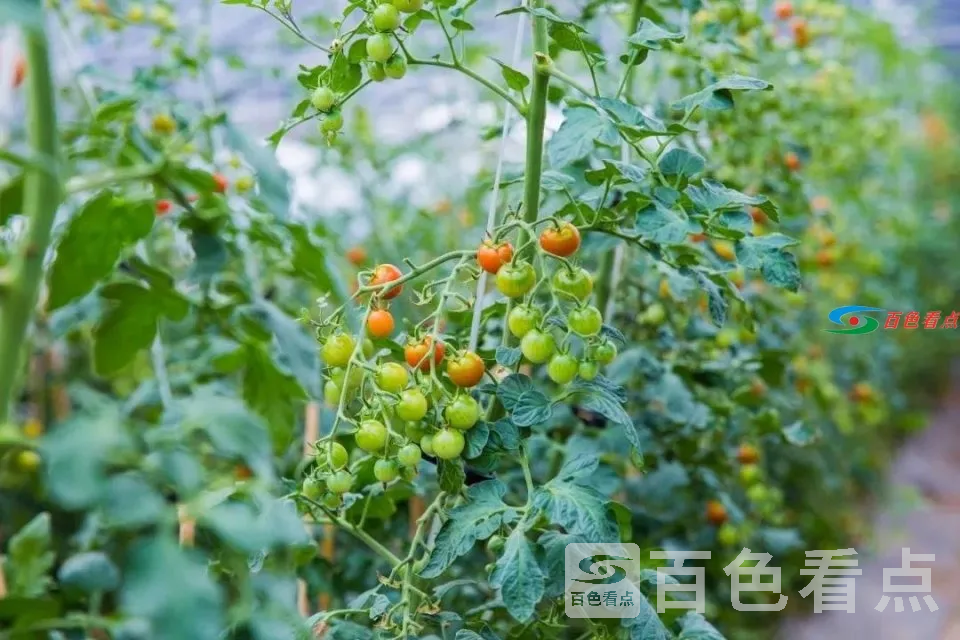 image.php (5).webp