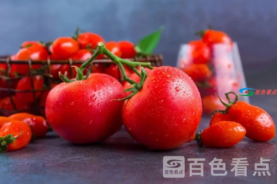 image.php (7).webp