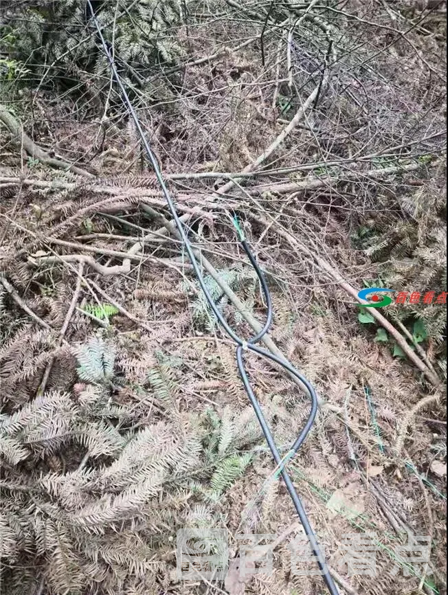 微信图片_20210429143851.webp